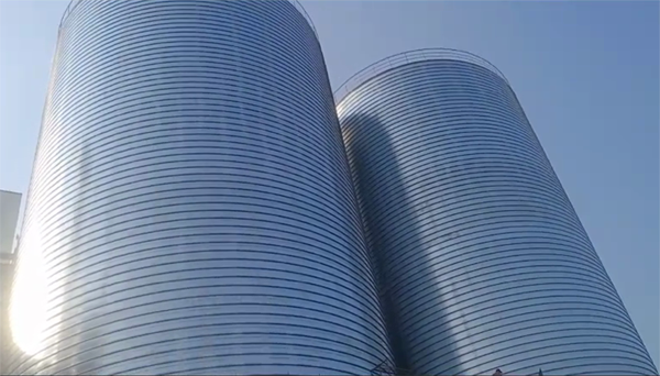 庐江2座混凝土高架卷板仓